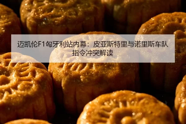 mai-kai-lun-xiong-ya-li-zhan-nei-mu-pi-ya-si-te-li-yu-nuo-li-si-che-dui-zhi-ling-chong-tu-jie-du-2-141.jpg