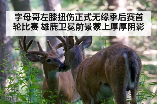 字母哥左膝扭伤正式无缘季后赛首轮比赛 雄鹿卫冕前景蒙上厚厚阴影