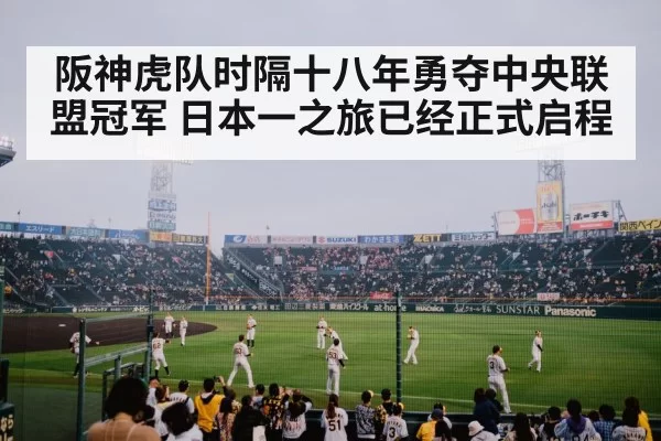 阪神虎队时隔十八年勇夺中央联盟冠军 日本一之旅已经正式启程