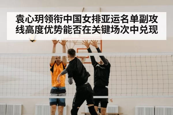 volleyball net block